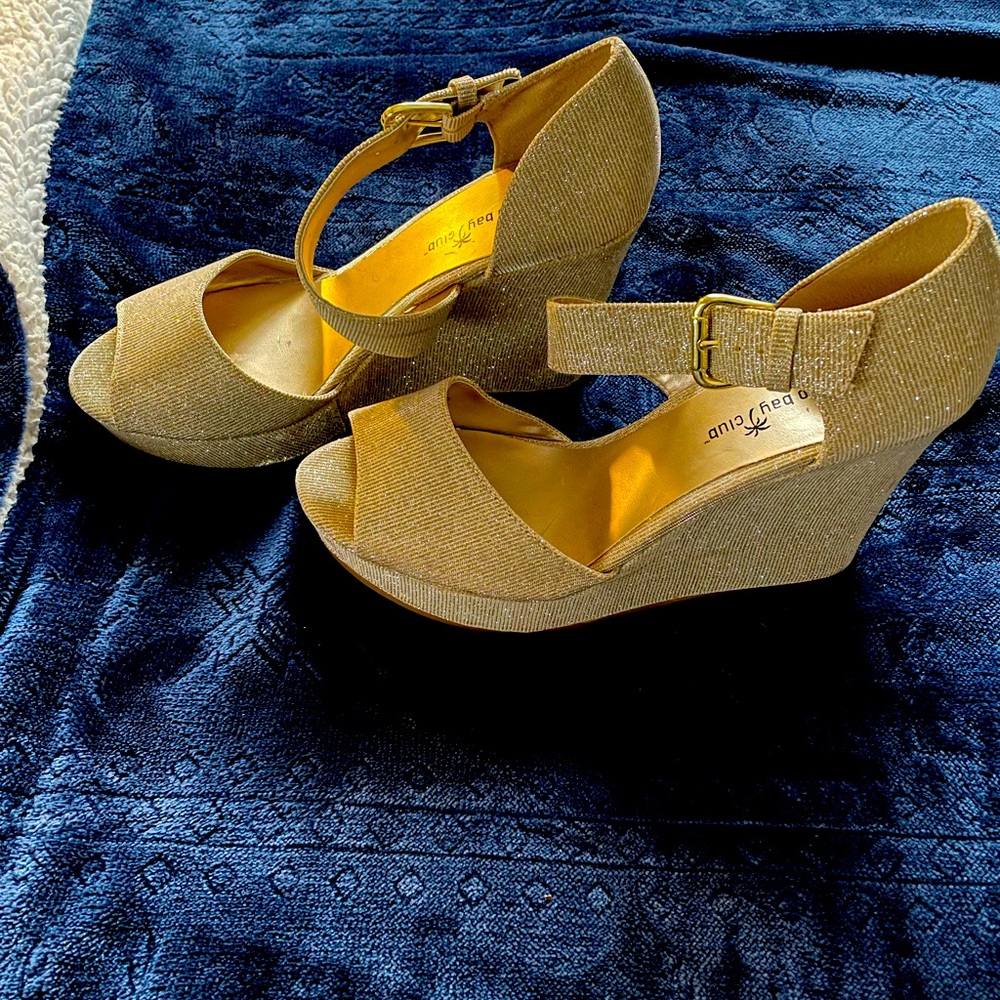 Montgomery Bay glitter shoes. See pictures.